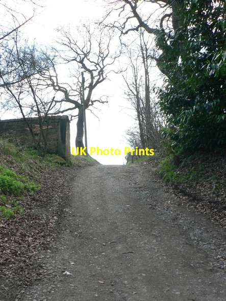 Photo 6"x4" Track to Stub House Farm Weardley c2006