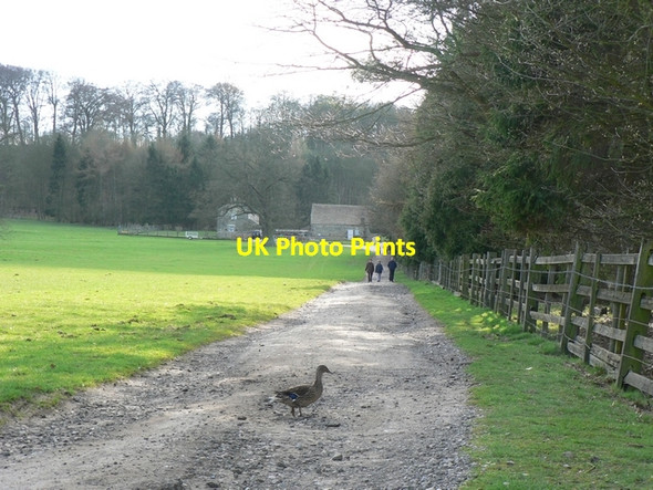 Photo 6"x4" Path by Carr Wood, Harewood Estate Weardley c2006