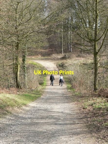 Photo 6"x4" Path over Stub Beck Weardley c2006