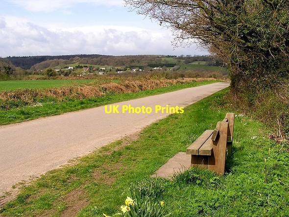 Photo 6"x4" Towards Woolaston Woodside Netherend c2006