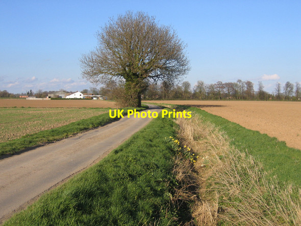 Photo 6"x4" Hill Lane, Kirton, Lincs Kirton\/TF3038 c2006