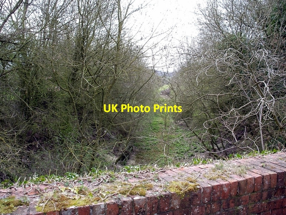 Photo 6"x4" Trackbed of old railway Tufton\/SU4546 c2006