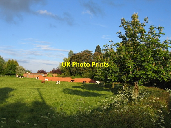 Photo 6"x4" Fields at Wappenbury Wappenbury\/SP3769 c2005