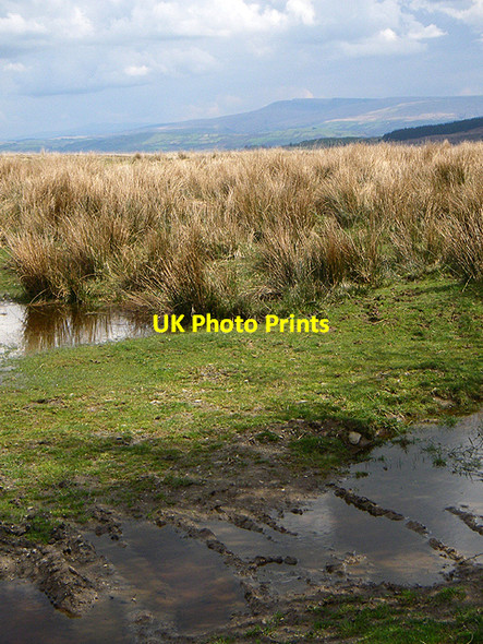 Photo 6"x4" Boggy Ground Cwmdu\/SN6330 c2006