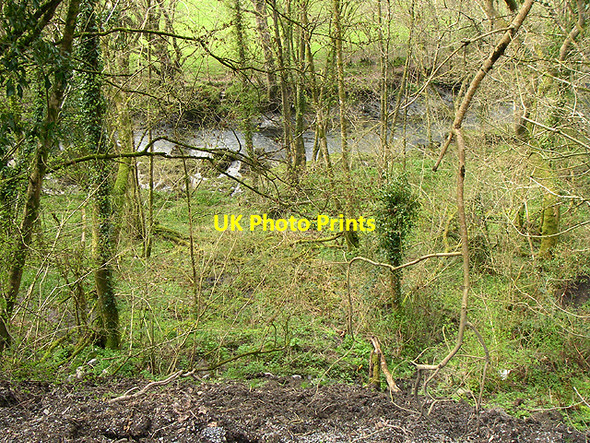 Photo 6"x4" Afon Cothi Llanfynydd\/SN5527 c2006