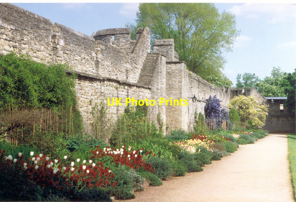 Photo 6"x4" New College gardens Oxford Oxford\/SP5106 c1994