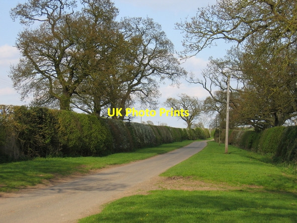Photo 6"x4" Lane to Upper Spernall Farm New End\/SP1060 c2006