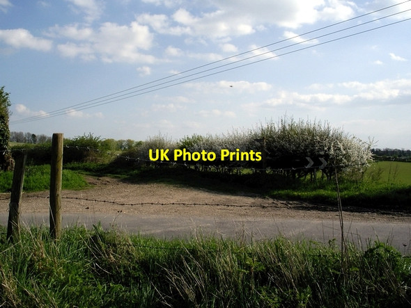 Photo 6"x4" Roman road south east of Newton Stacey Newton Stacey c2006