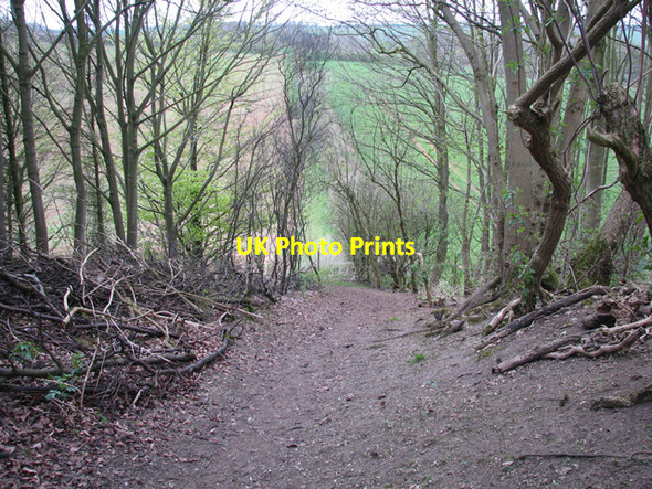 Photo 6"x4" Footpath To Kirmond Le Mire Stainton le Vale c2006