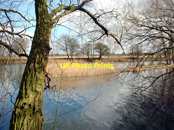 Photo 6"x4" Deeping Lakes NR near Peterborough Peakirk c2006