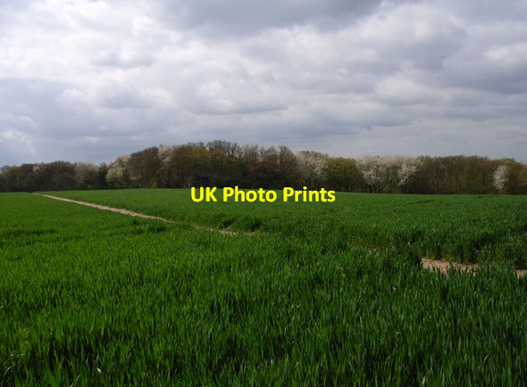 Photo 6"x4" Farmland above Wooburn Green Beaconsfield c2006