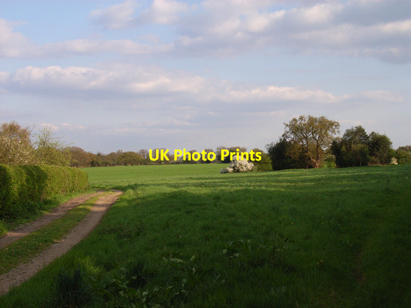Photo 6"x4" Farmland at Brook End Littleworth Common\/SU9386 c2006