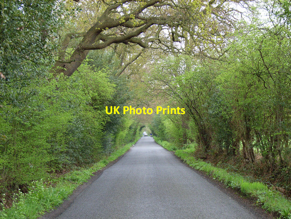 Photo 6"x4" Duffield Lane Gerrards Cross c2006