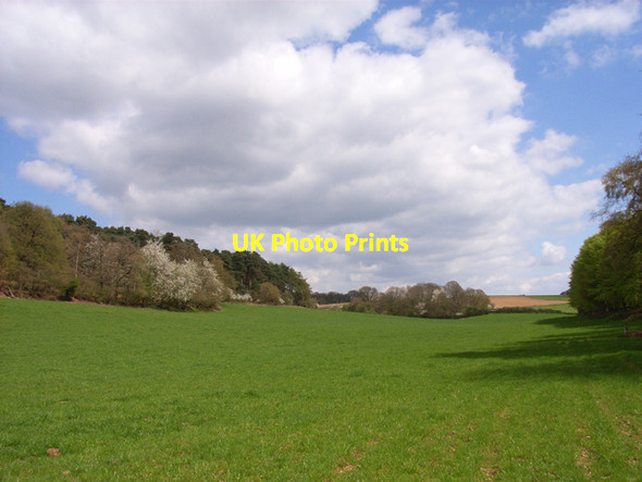 Photo 6"x4" Dorney Bottom Hedgerley c2006