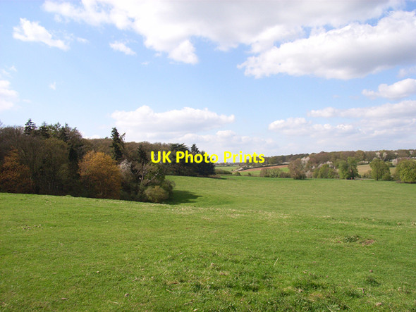 Photo 6"x4" Bulstrode Park Gerrards Cross c2006