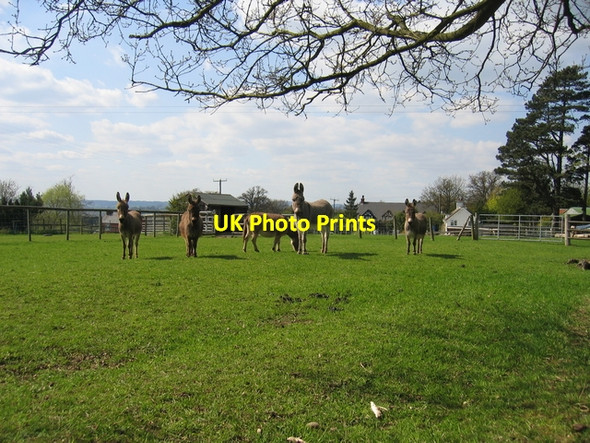 Photo 6"x4" An attentive audience Gorcott Hill c2006