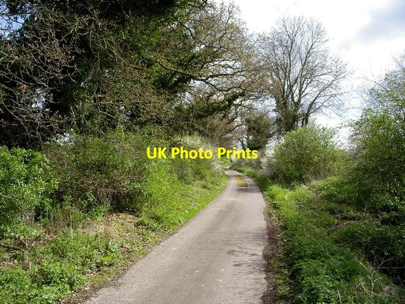 Photo 6"x4" Drift Road, Near Chilbolton Chilbolton Down c2006