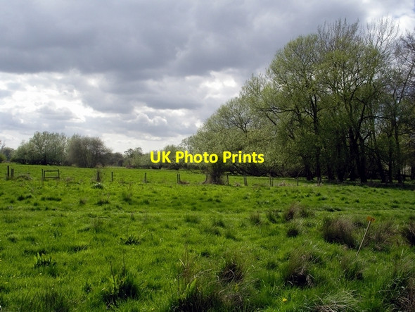 Photo 6"x4" Western end of Bransbury Common Newton Stacey c2006