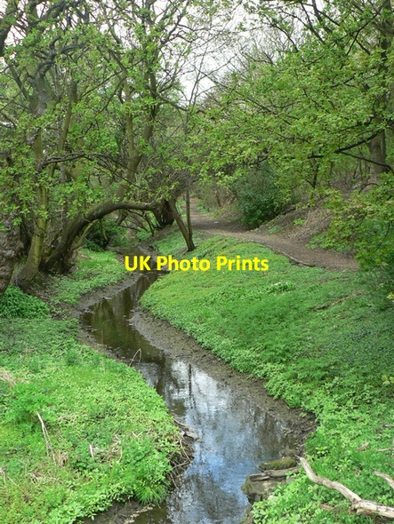 Photo 6"x4" Goit, Kirkstall Upper Armley c2006