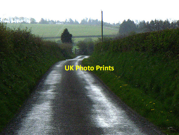 Photo 6"x4" Stretch of Road Alltwalis c2006 P1
