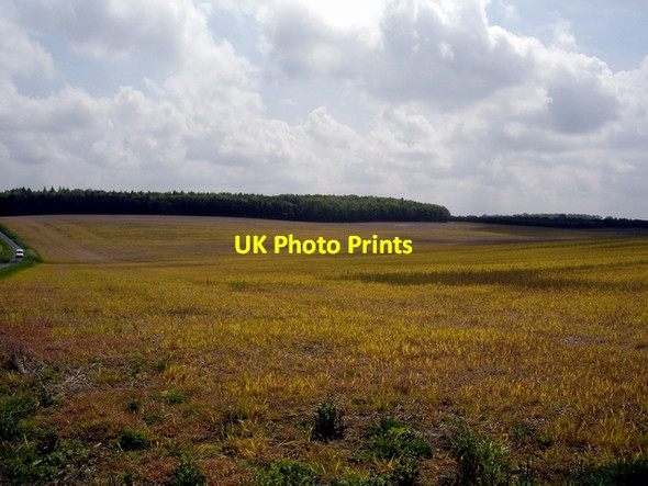 Photo 6"x4" Fields between Micheldever and Stoke Charity Hunton\/SU4839 c2006