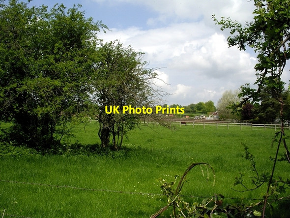 Photo 6"x4" Paddock and field in Northbrook Weston Colley c2006