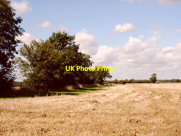 Photo 6"x4" After the Harvest, Norfolk Spooner Row c2004