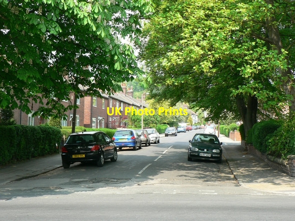 Photo 6"x4" Langdale Gardens, Headingley Burley\/SE2734 c2006