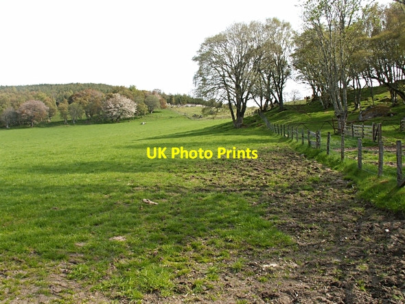 Photo 6"x4" By Crask Crask\/NH6633 c2006