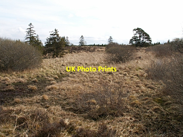 Photo 6"x4" Moorland near Carr Ban Carr B\u00e0n c2006