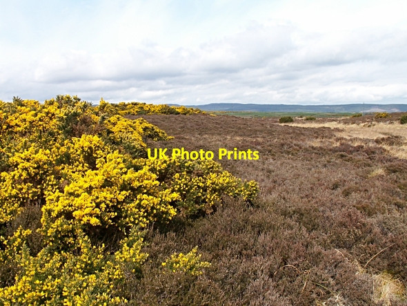 Photo 6"x4" Moorland above the Allt Mor Carn Glas (Chambered Cairns) c2006
