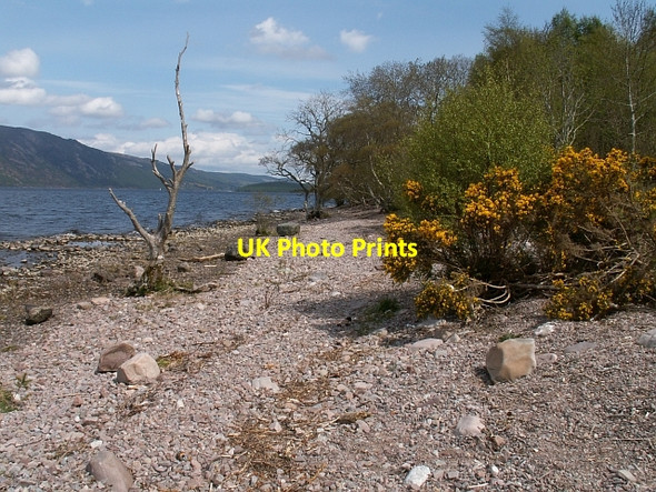 Photo 6"x4" Loch Ness shoreline Balchraggan\/NH5634 c2006