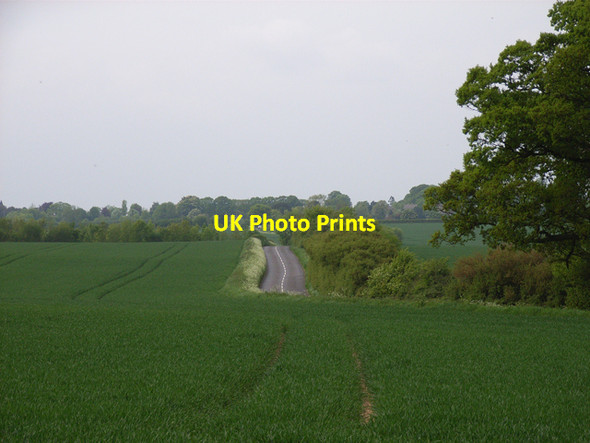 Photo 6"x4" Next to Readon Copse Hillside\/SU7550 c2006