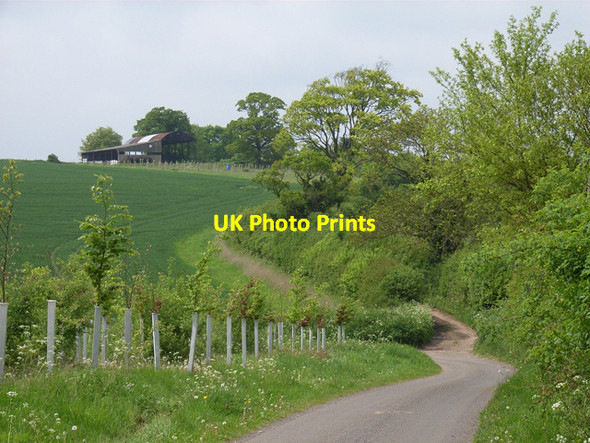 Photo 6"x4" Between Itchel and Park Corner Rye Common c2006