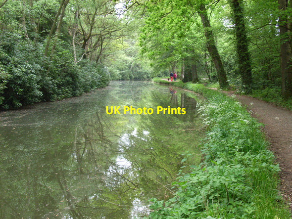 Photo 6"x4" The Basingstoke Canal, near Dogmersfield Fleet\/SU8054 c2006