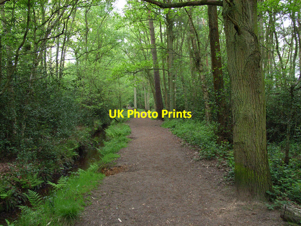 Photo 6"x4" Footpath near Fleet Pond Fleet\/SU8054 c2006
