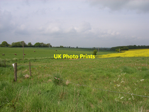 Photo 6"x4" Farmland at Park Corner Crondall c2006