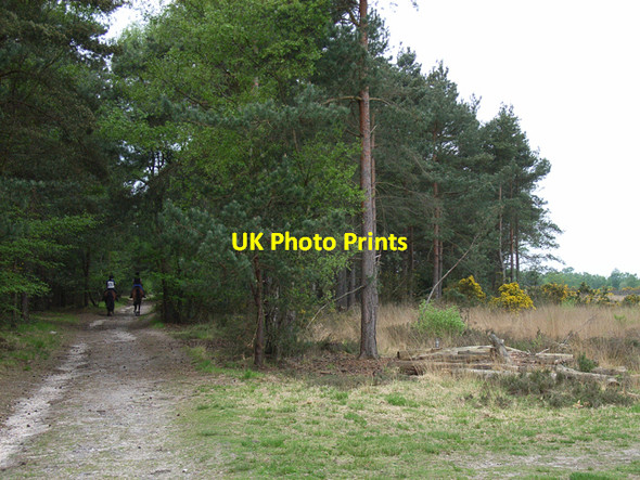 Photo 6"x4" Yateley Common Darby Green c2006
