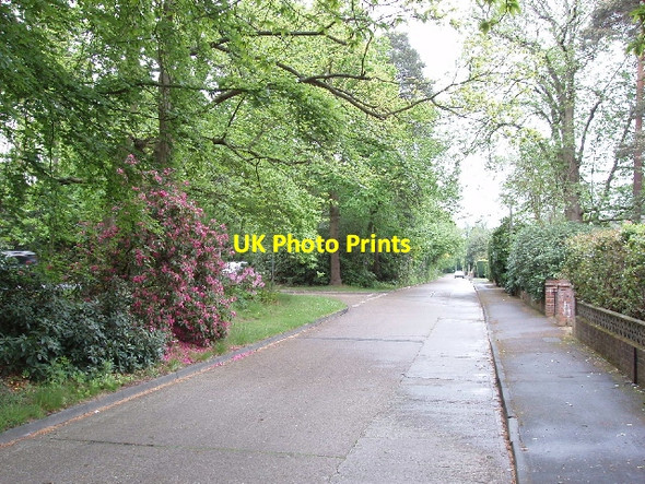 Photo 6"x4" Priory Close and rhododendrons, Sheerwater Sheerwater\/TQ0260 c2006