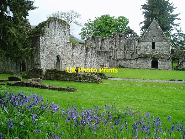 Photo 6"x4" Inchmahome Priory Port of Menteith c2006