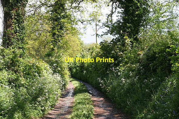 Photo 6"x4" Clayhidon: track to Hole Farm Bolham Water c2006