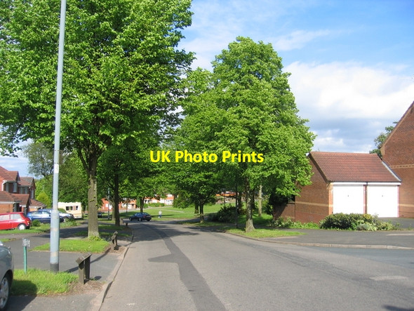 Photo 6"x4" Staple Lodge Road Turves Green c2006