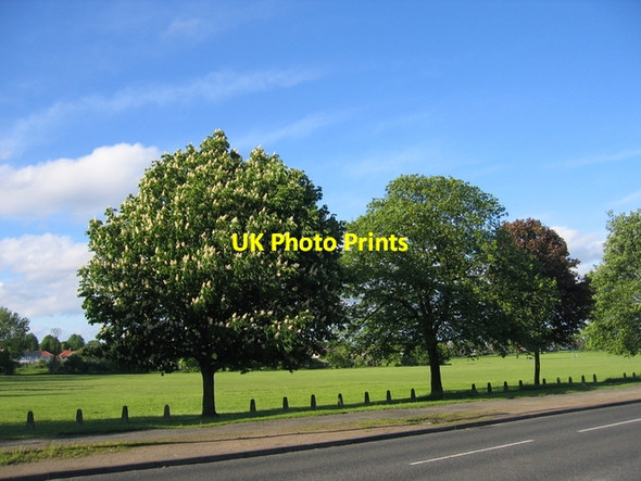 Photo 6"x4" Maypole Lane Highter's Heath c2006