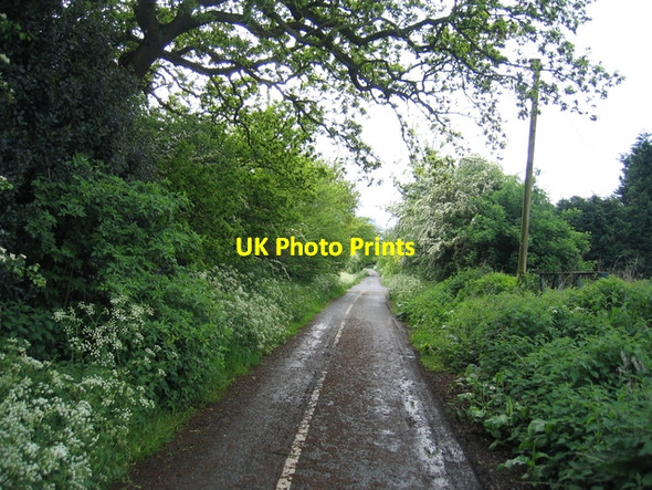 Photo 6"x4" Bell Green Lane Forhill c2006