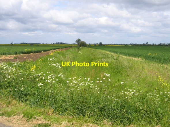 Photo 6"x4" Nether Irams Fen, Rampton, Cambs Rampton\/TL4267 c2006