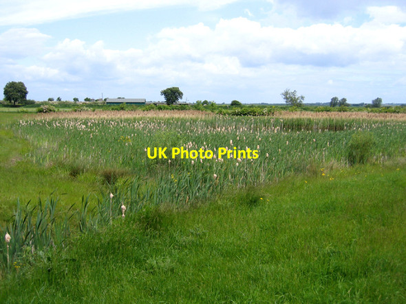 Photo 6"x4" Broad Lane Amenity Area, Cottenham, Cambs Cottenham c2006
