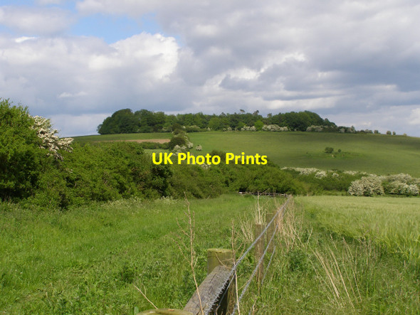 Photo 6"x4" Bridleway to Clearbury Down Wick\/SU1621 c2006