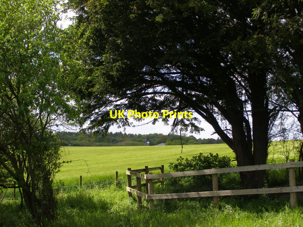 Photo 6"x4" Fenced yew on Clearbury Down Odstock c2006