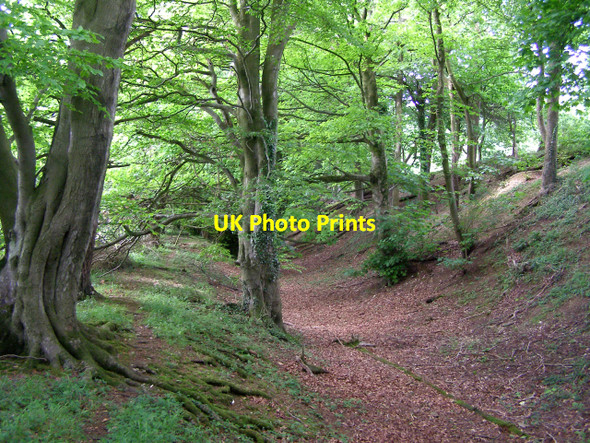 Photo 6"x4" Southwest ditch and rampart at Clearbury Ring Nunton c2006