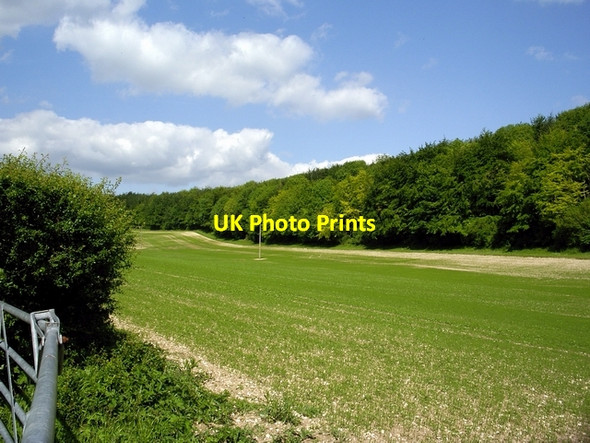 Photo 6"x4" Field and woodland opposite Bailey's Down Upper Slackstead c2006